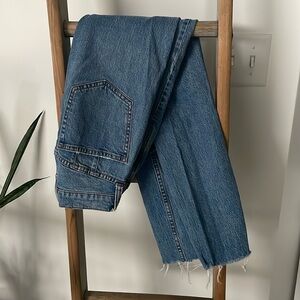 We the Free Curvy Skinny Jeans